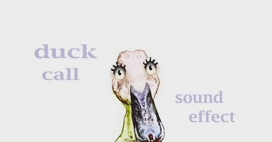 How A Duck Call - Sound Effect - Animation