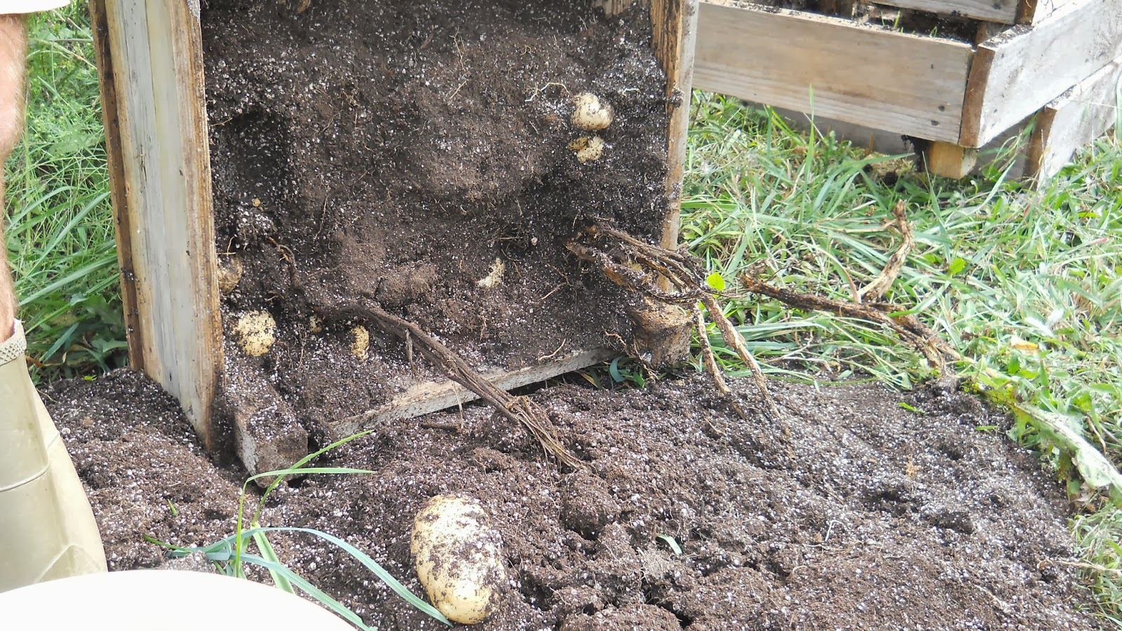 Tales of Idyllia: Potato Box