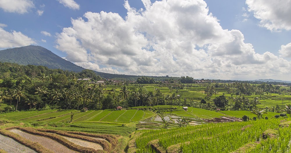 Perbedaan Dan Perkembangan Antara Masyarakat Kota Dan Desa Informasi Masa Kini