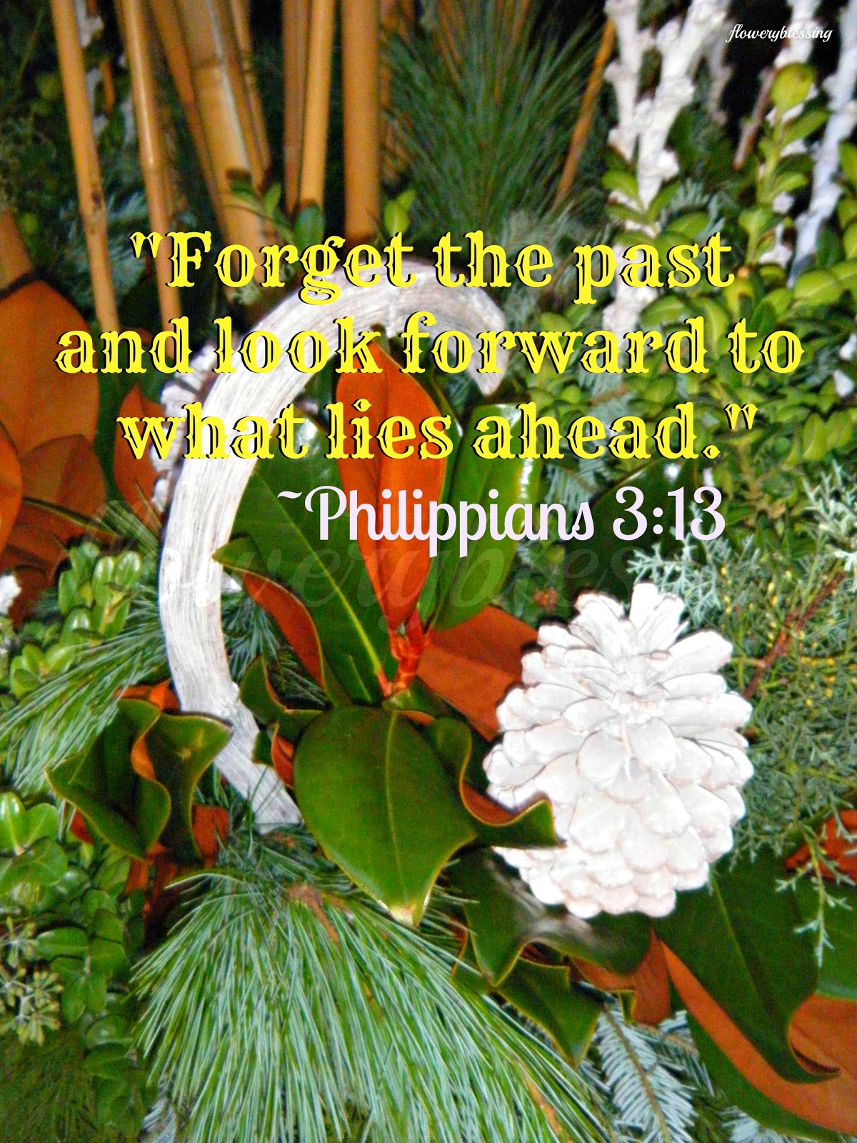 Flowery Blessing "'Brethren, I do not count myself to have apprehended