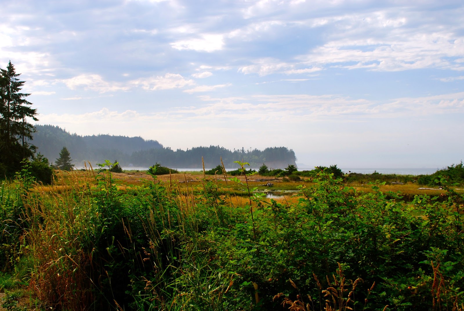 Salt creek olympic national park