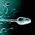 Alternativa à vasectomia, gel contraceptivo masculino é aprovado em testes com macacos