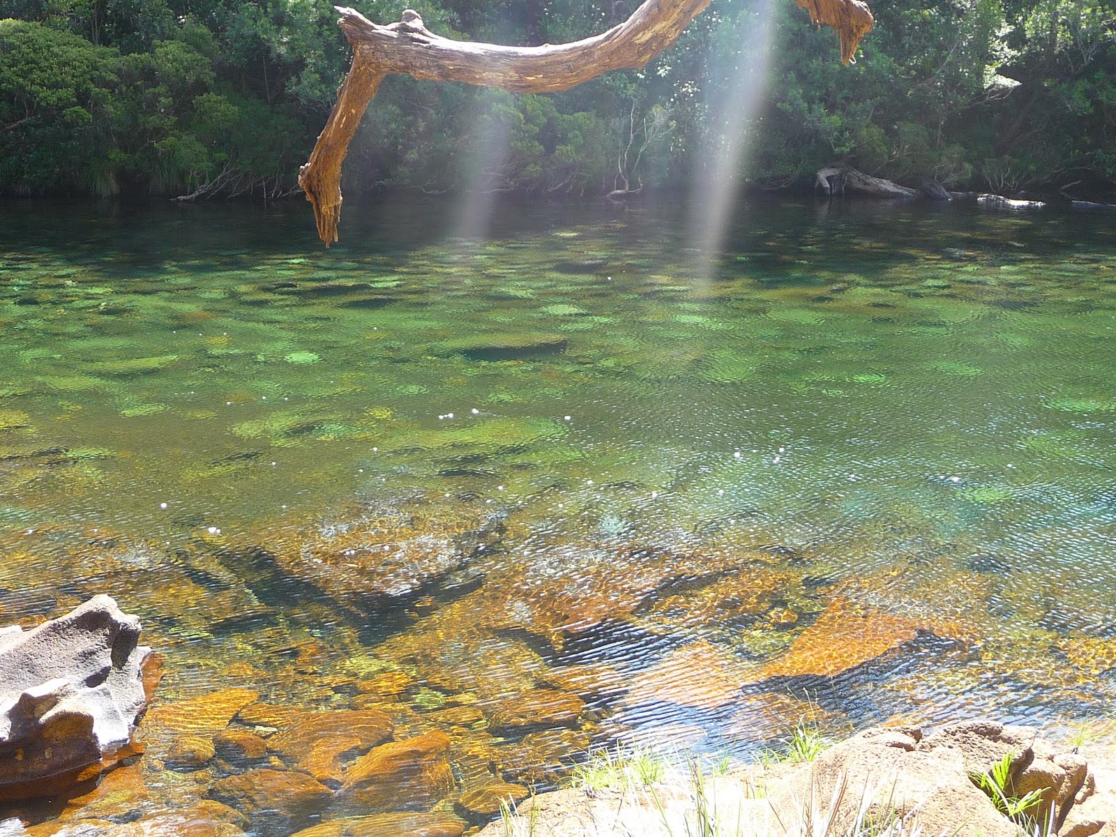 Bonichoix Riviere Bleue at Jerry Gilbert blog