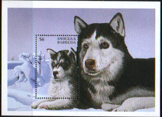 □1997年アンティグア・バーブーダ　シベリアン・ハスキーの切手シート