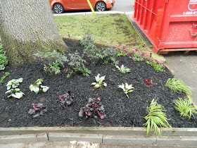 Baby Point Toronto front garden renovation after by Paul Jung Gardening Services