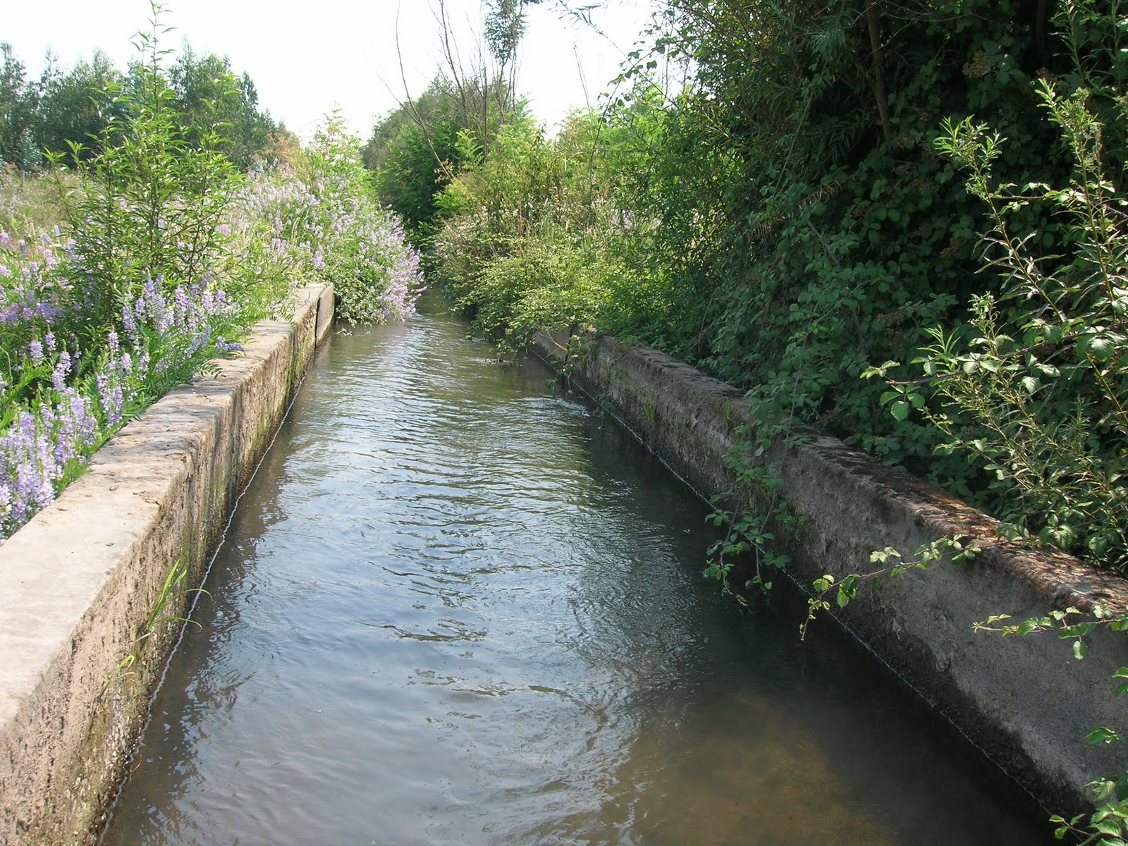 FÁCIL PARA NOSOTROS El canal