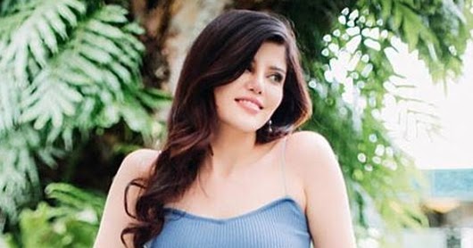 Semua Tentang Denny Sumargo Dan Agnes Terlengkap