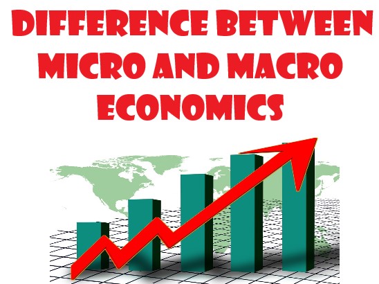 Difference between micro and macro economics