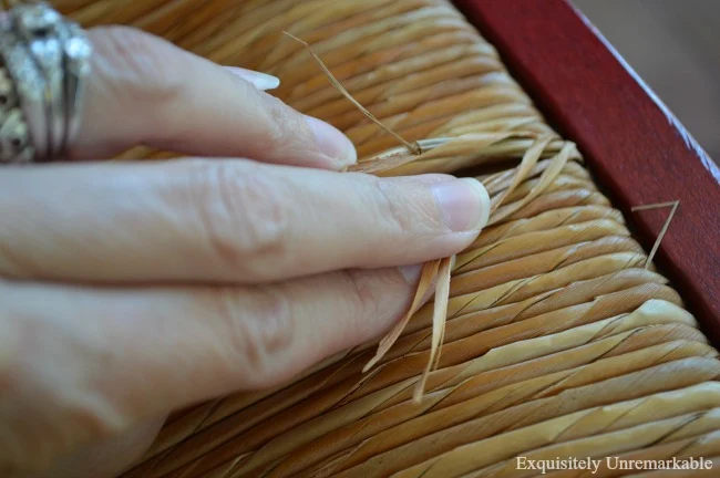 Hand showing frayed rush on seat