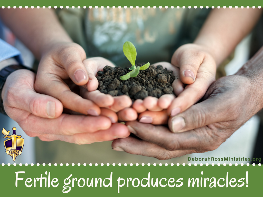 Deborah Ross Ministries Fertile Ground Good Soil
