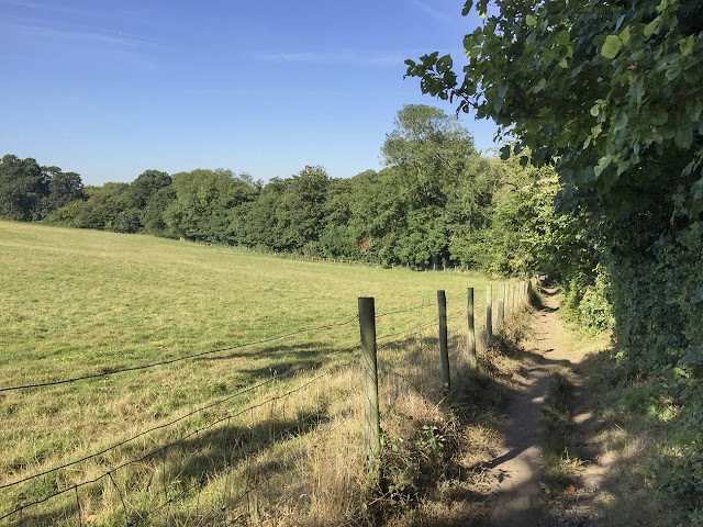 Walk round the Hawkwood Estate 25, 30 August 2016 Walk round the Hawkwood Estate 25, 30 August 2016
