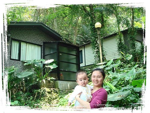 大板根森林遊樂區|三峽大板根