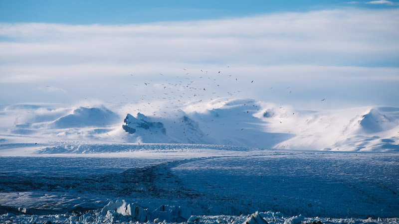 Winter landscape