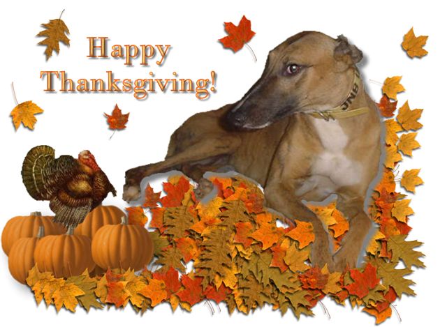 Thanksgiving sentiments for teachers