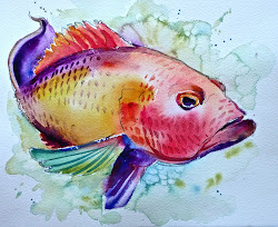 fish watercolor painting david fishes paintings cool lobenberg easy simple beginners watercolors diy drawing davidlobenberg designs bright paint watercolour lessons