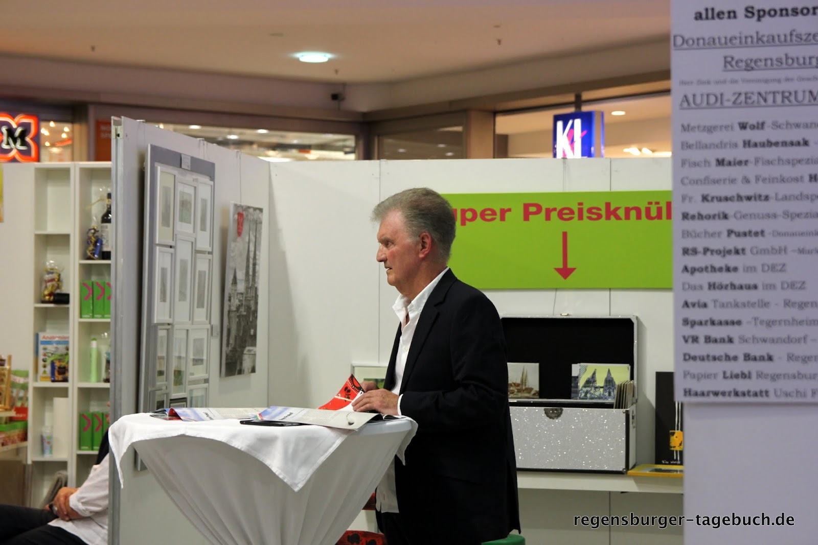 Regensburger Tagebuch Kunstlerportrait Von Ivana Koubek