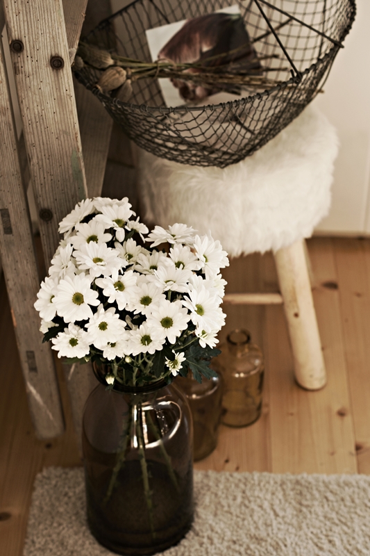 Blog + Fotografie by it's me! - weiße Chrysanthemen in brauner Glasvase mit alter Leiter, Fellhocker und Drahtkorb