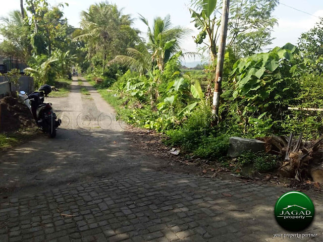 Tanah Produktif dekat RSU Prambanan Tanah Produktif dekat RSU Prambanan