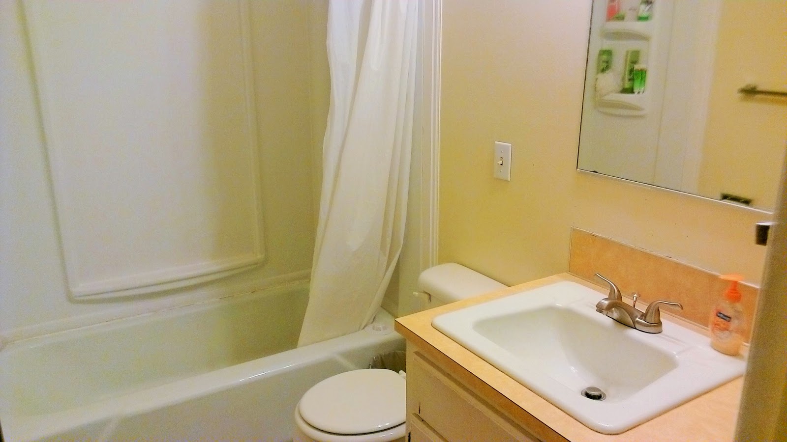 Buena Vista Apartments Apartment 1