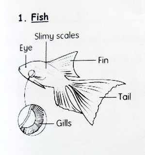 FUN & LEARN : Free worksheets for kid: 2016