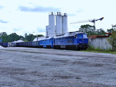 Lokomotywy BR 232 154 i BR 232 561 na Odolanach
