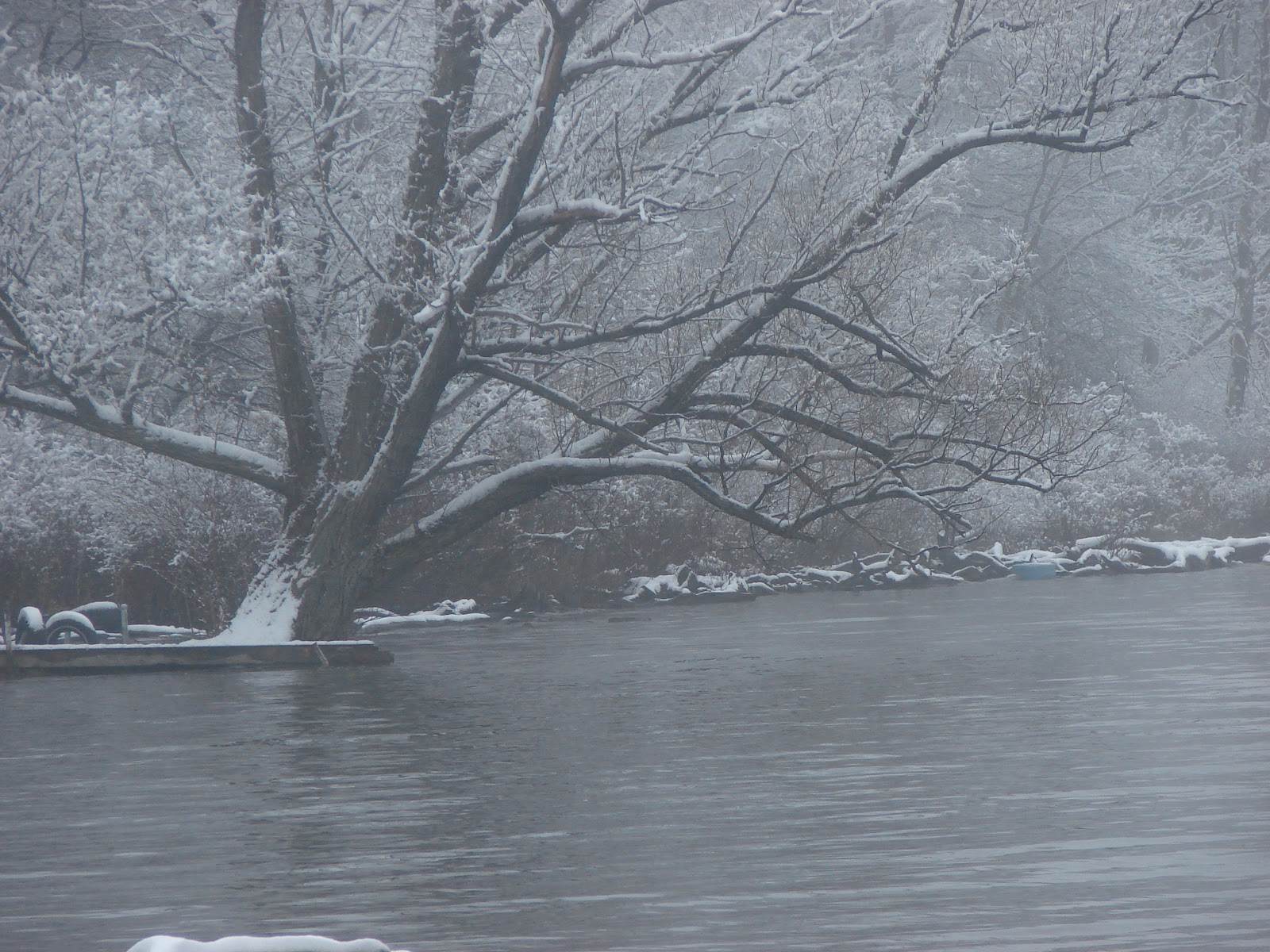Pymatuning Photo Gallery: WINTER ON PYMATUNING LAKE Pymatuning Photo Gallery: WINTER ON PYMATUNING LAKE