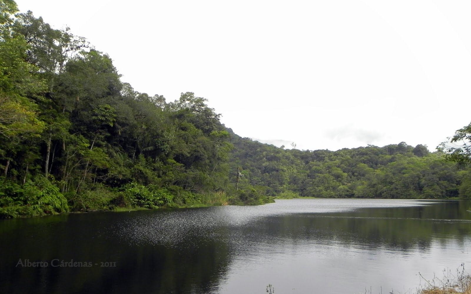 Resultado de imagen para laguna negra rio negro venezuela
