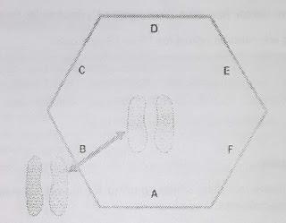 Procedure for Conducting Hexagonal Obstacle Test Procedure for Conducting Hexagonal Obstacle Test
