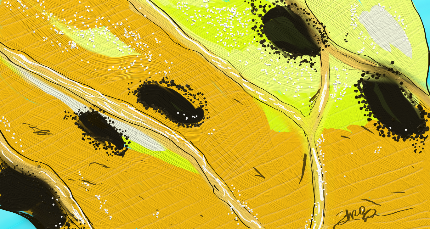 Bibliomania Allure...