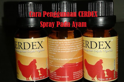 Cara Penggunaan CERDEX Spray Pada Ayam