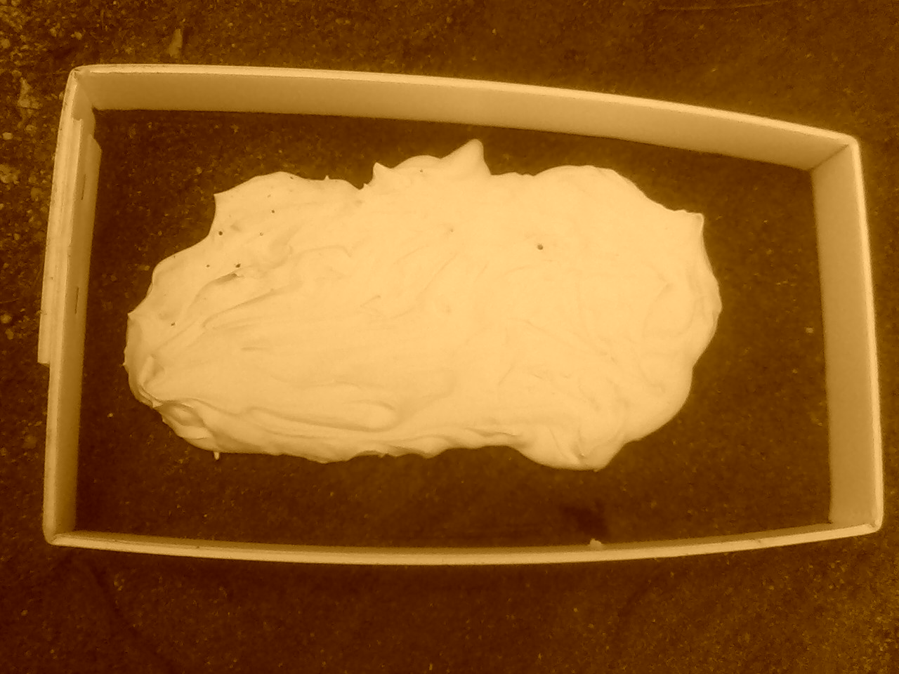 Jess Miller footprint casting