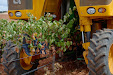 Grape harvester: Gregoire G8