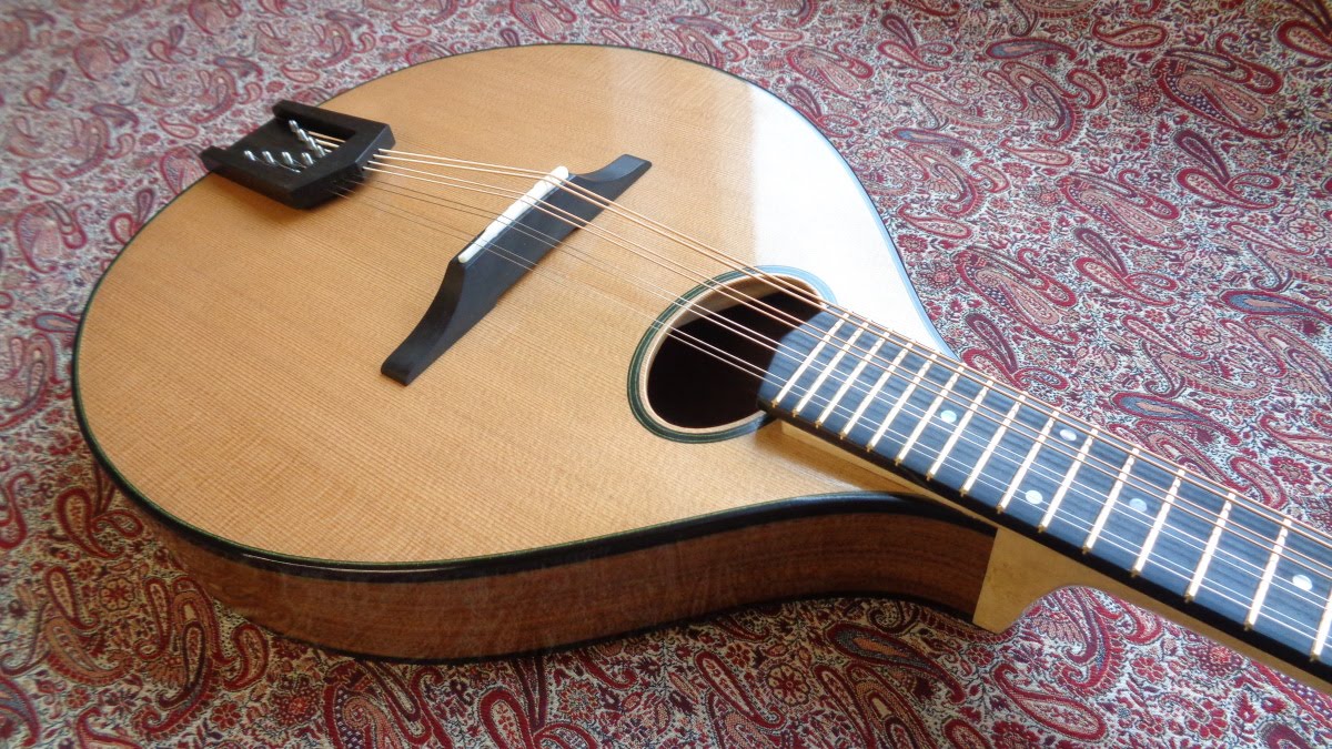 A Luthier's Blog Hybrid mandolin complete