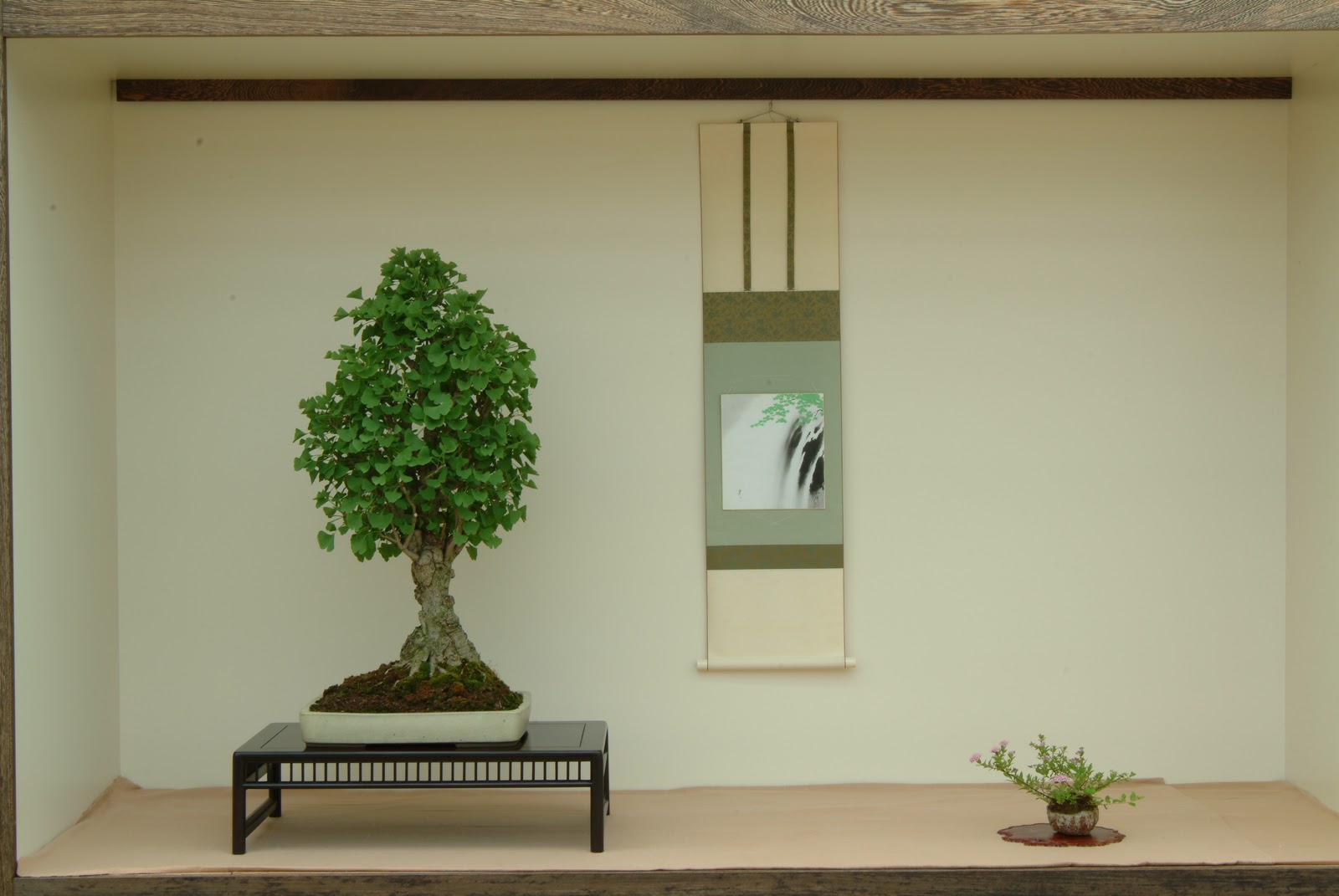 Encyclopedia of Ginkgo Nature's Miracle Ginkgo biloba , Book 1. By B. M