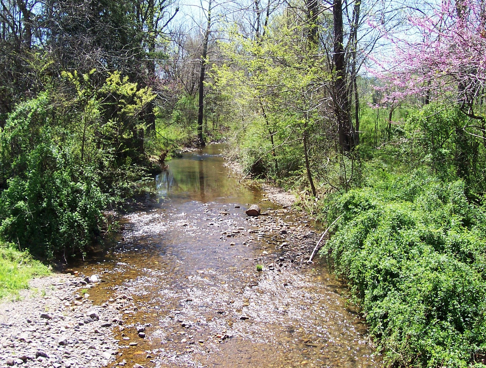 Big Fork, Arkansas Bates Grist Mill