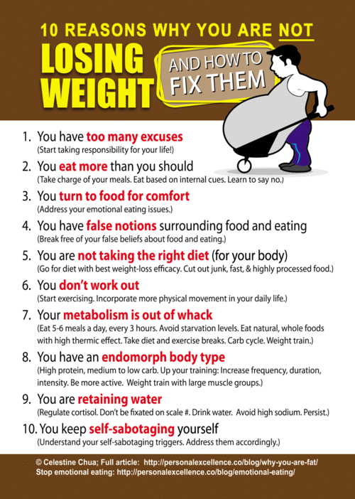hover_share weight loss - 10 reasons why you are not losing weight 
