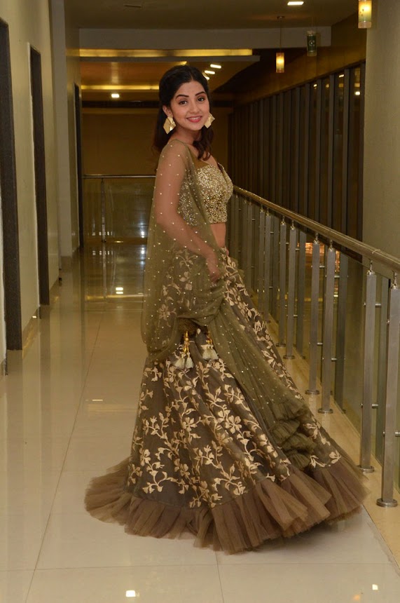 Kashmira Pardeshi at Narthanasala Pre-Release