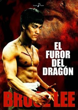 El Furor del Dragon en Español Latino