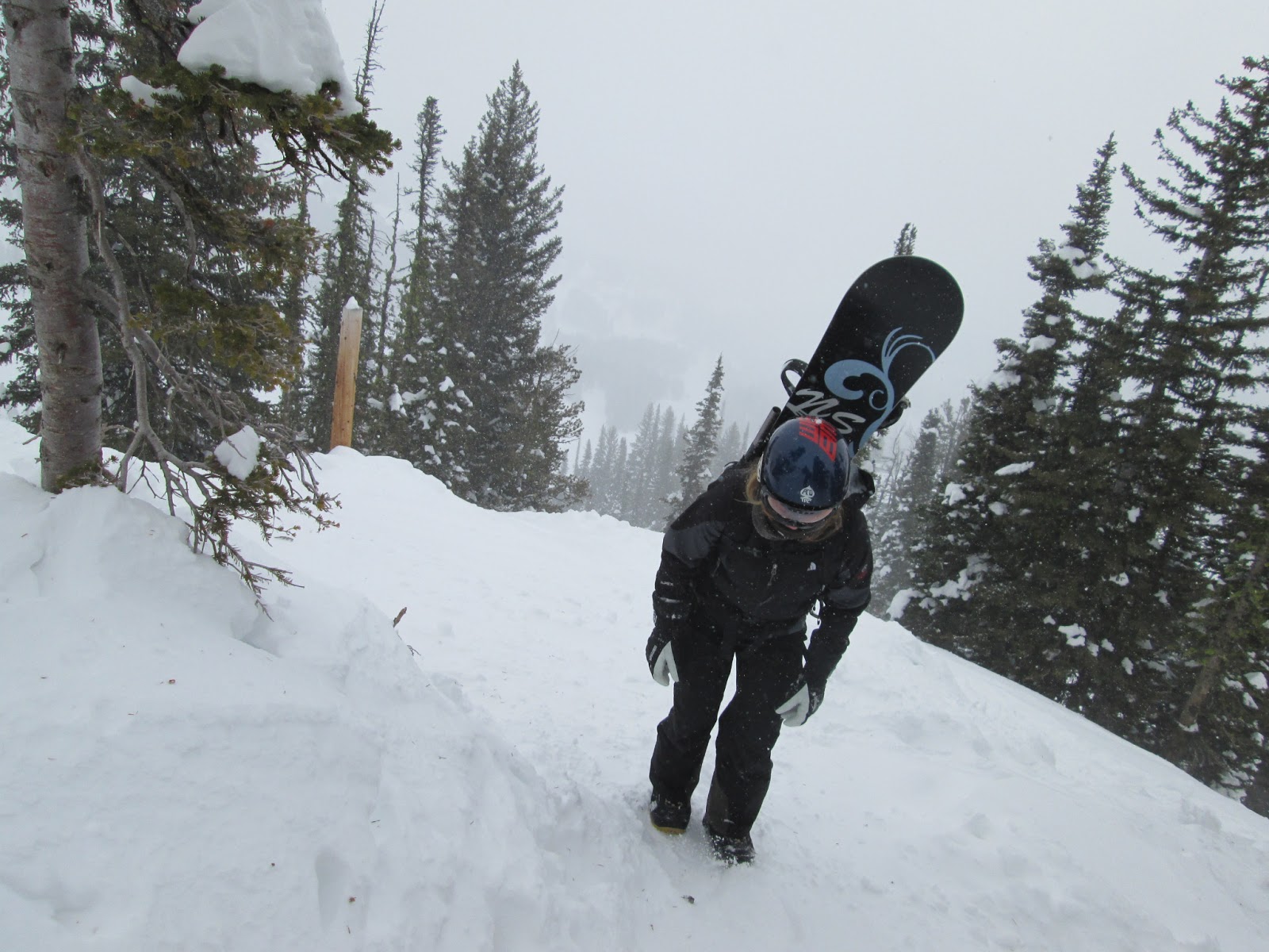 MJ HALL / MOUNTAIN BIKE / MOTORCYCLE / SNOWBOARD / SNOWMOBILE / FOUR