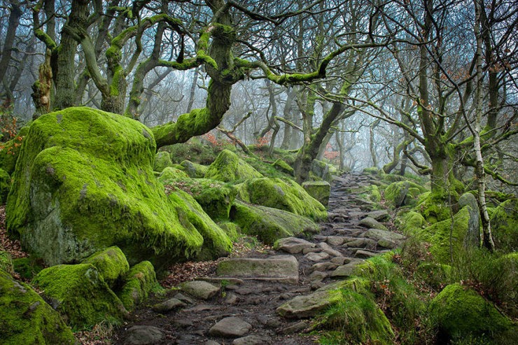 19. Padley Gorge, Peak District, UK - 29 Wonderful Paths