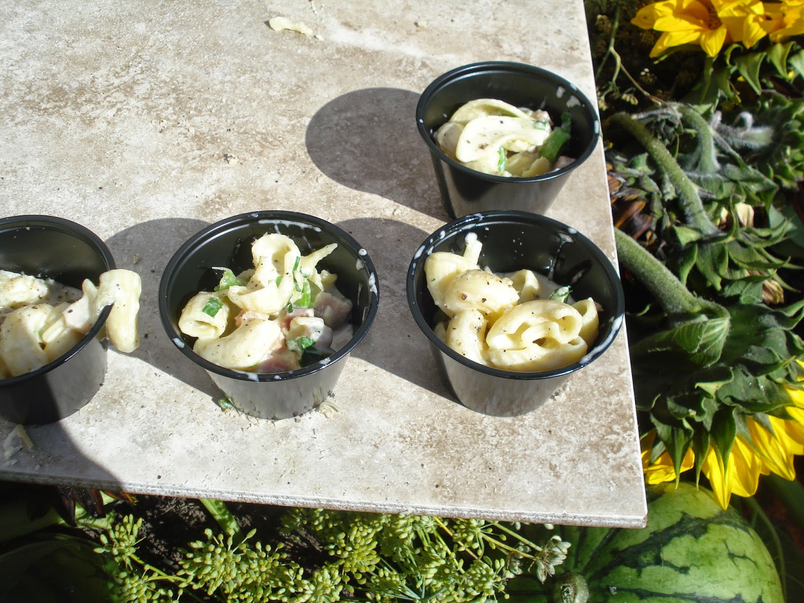 You Don't Know Mac Review The Mac & Cheese Festival