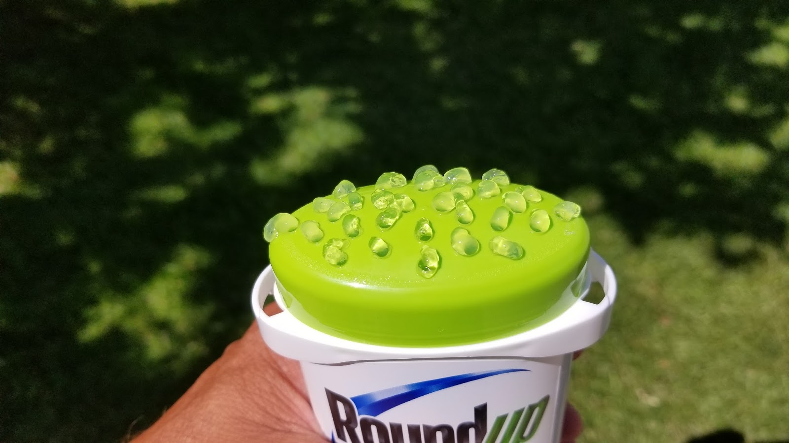 COHorts Another Way to Stick it to Weeds