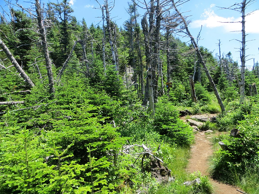 Hiking in the White Mountains: Great Range Traverse