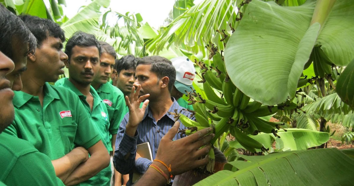 India’s First Agricultural Skill Management Institute Pocket News Alert