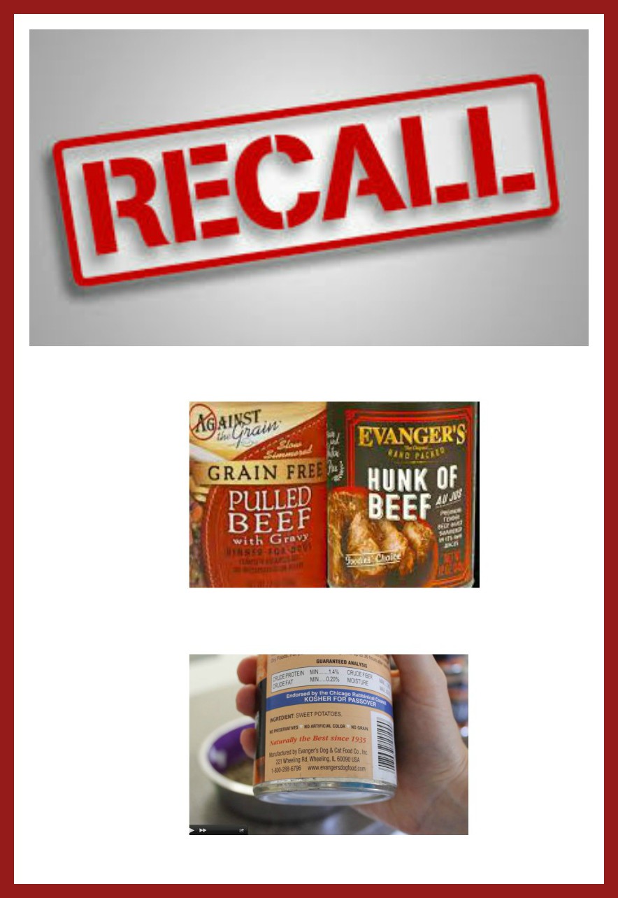 Rusty2rusty's Chatter: Important Dog Food Recall - Evanger's Hunk Of
