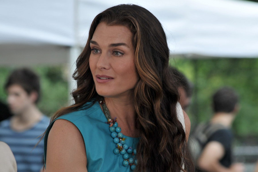 Filmovízia Lipstick Jungle [20082009]