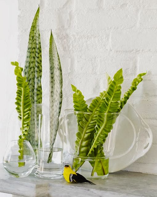 Baú de ideias decorativas para sua casa: coisas simples da vida. Blog Achados de Decoração Baú de ideias decorativas para sua casa: coisas simples da vida. Blog Achados de Decoração