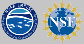 geosciences internship bridge