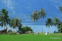 danau maninjau