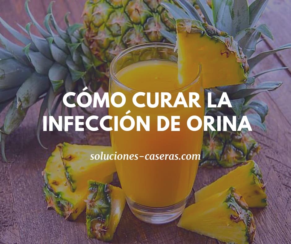 Remedios Caseros Eficaces Contra Las Infecciones Urinarias
